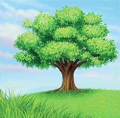 树代表什么生肖？哪个生肖属树最好？