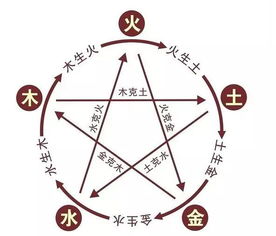 门廊布局对人际互动模式的潜在影响