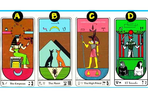 如何入门学习八字和塔罗牌，进行塔罗测试？