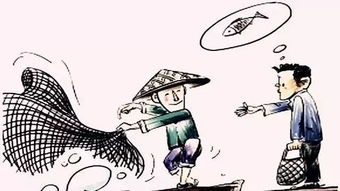 这组数字预示着什么吉凶？能否解读其中的奥秘？