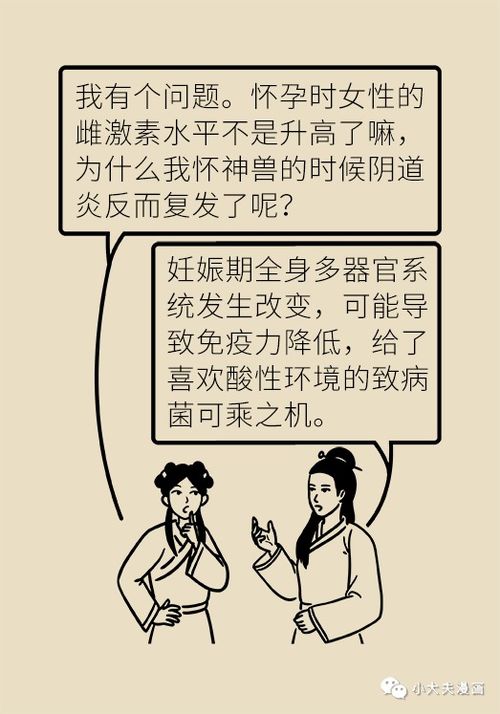 一、  和合术成功率的波动性及其因果机制分析