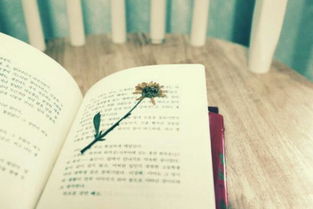 一、  生肖命理与季节能量的共振关系