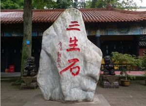 1.1 地理优势与文化底蕴交融