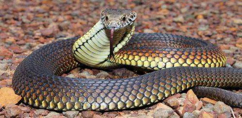 姓名与事业：命运的牵引