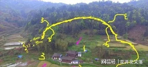 4.1 张某某先生的理论建树