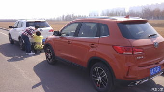 一、 生肖属相对应的提车适宜性