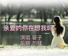 一、 巧克力的象征意义与中华传统文化之间的映射关系