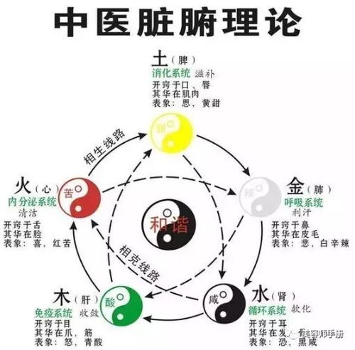 1980年每日五行中，我属什么五行，那一年五行缺什么？