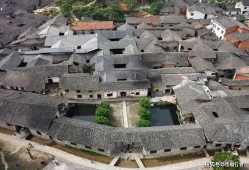 半价票不是“免死金牌”：学生证背后的学信网验证风波