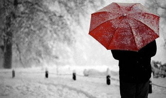 “岁月静好？不存在系列”