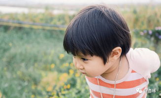 四、 经典？不如看热播剧！