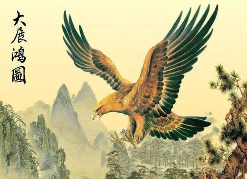 乌鸦挡路寓意着哪三件事，其象征意义是什么？