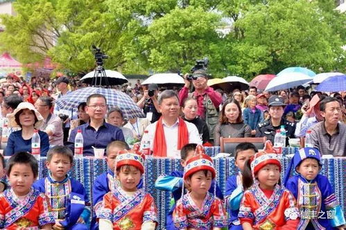 乌饭节——畲族祭祖仪式中的黑色稻米