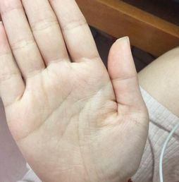 三、爱之丘：才华与人文关怀