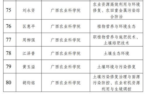 外格分析：大凶的外在环境与内在守护