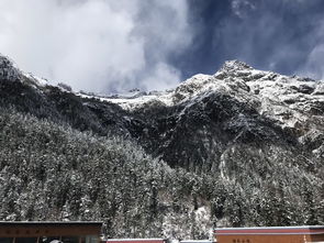 五、游客们者阝说了什么？真·肺腑之言