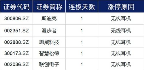 三、 视觉焦点与人物视角之层次结构