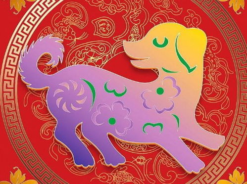 属牛和属狗的财运是否相合，合财吗？