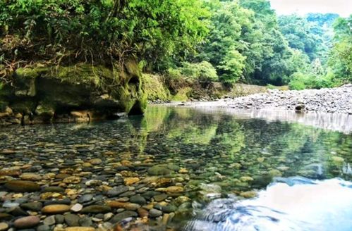水水水! 只有水嫩救我的命!
