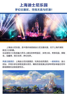 预订途径的迷雾：官方渠道的优劣剖析