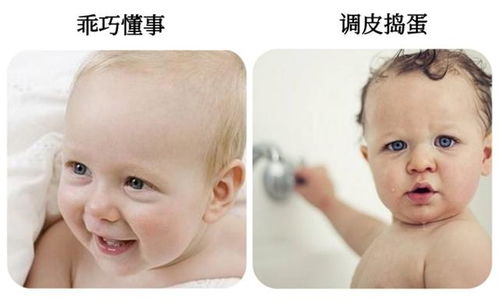 2. 教育方式的主导性地位