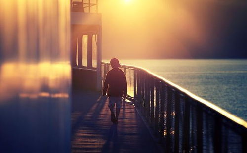 第一节：上坡路理论：阻力作为上升的必要条件