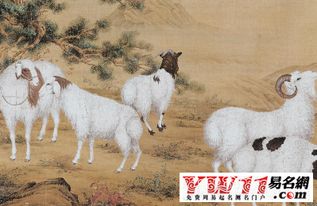 1979年6月出生的属羊人，命运如何，哪个星座运势最佳？