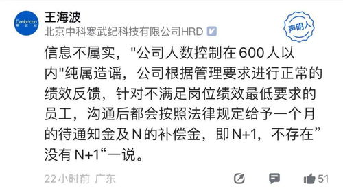 幽默风趣的名字