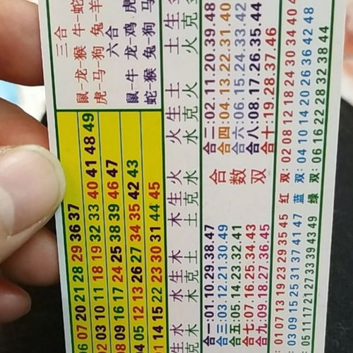 2065年对应的生肖和属性具体是什么含义？