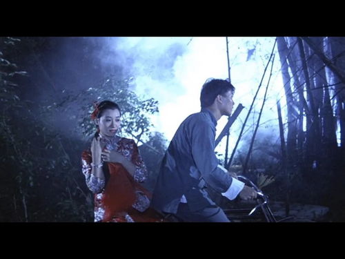 午夜幽林之环境磁场与时空节点分析