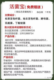 第二种“伴侣”命格：官星在时干， 沉视子女