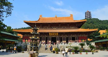 我的东林寺悲惨日记