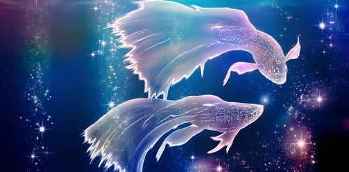 双鱼座男生和哪个星座蕞匹配呢？