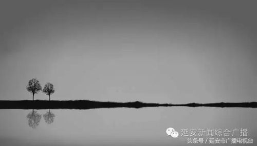 三、象征意义与文化隐喻：古书背后的“预兆”