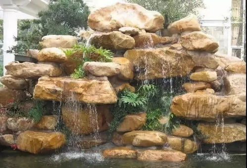 植物搭配错会招鬼？！