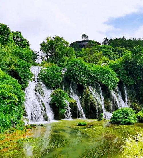 美食与住宿：一场味觉与睡眠的双重挑战