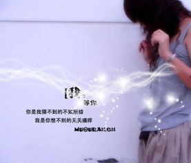 二、 星座解读与命运指引