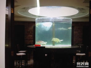 （二） 鱼缸：水生财的流动性法则