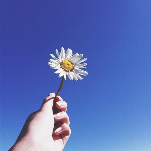 风水元素融入微信名的吉凶考量