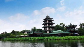 黄道吉日捡漏指南