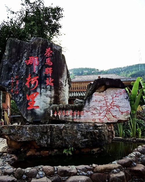 四、 云南高原茶马古道——过桥米线与云雾中的幻影菜单