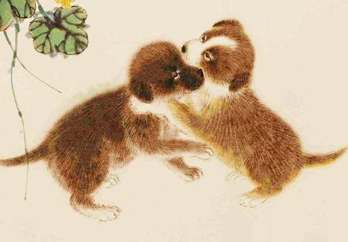 属猪和谁最匹配，属猪男士2026年最旺饰物是什么？