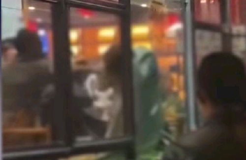 第三章：历史持续发展渊源——经典案例的回溯