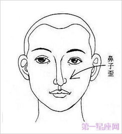 二、 女性群体鼻型更多样性与命运属性的系统归类