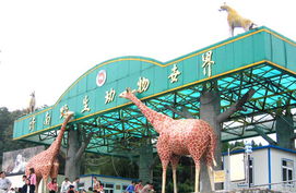 2026年天气玄学预测