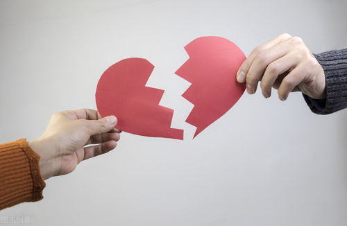 属相相冲对婚姻稳定性的冲击