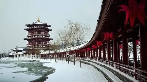 大唐芙蓉园：皇家园林的冬日风情