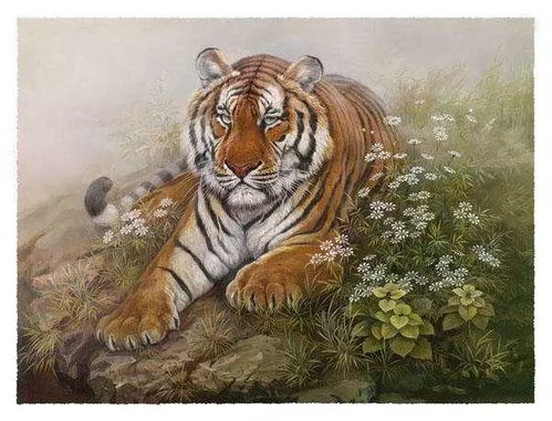 大金虎财运吉凶如何，其寓意究竟预示着怎样的运势？