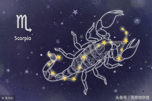 3．天蝎座（激情之年）