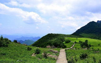 住宿推荐：舒适与实惠并存
